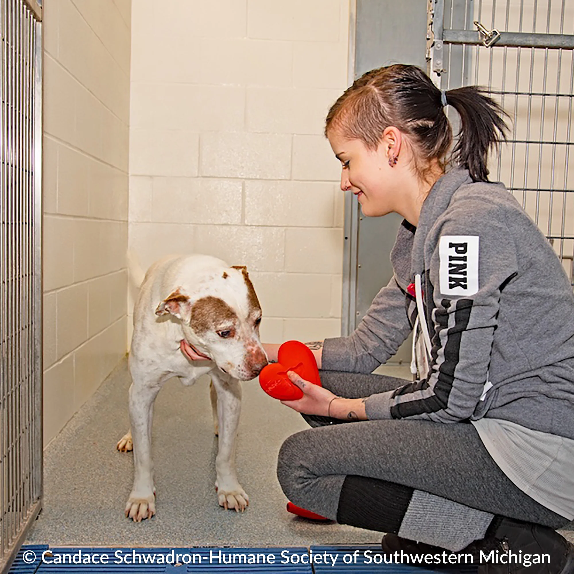 Send Vital Supplies to Shelters Saving Pets’ Lives - Image 10