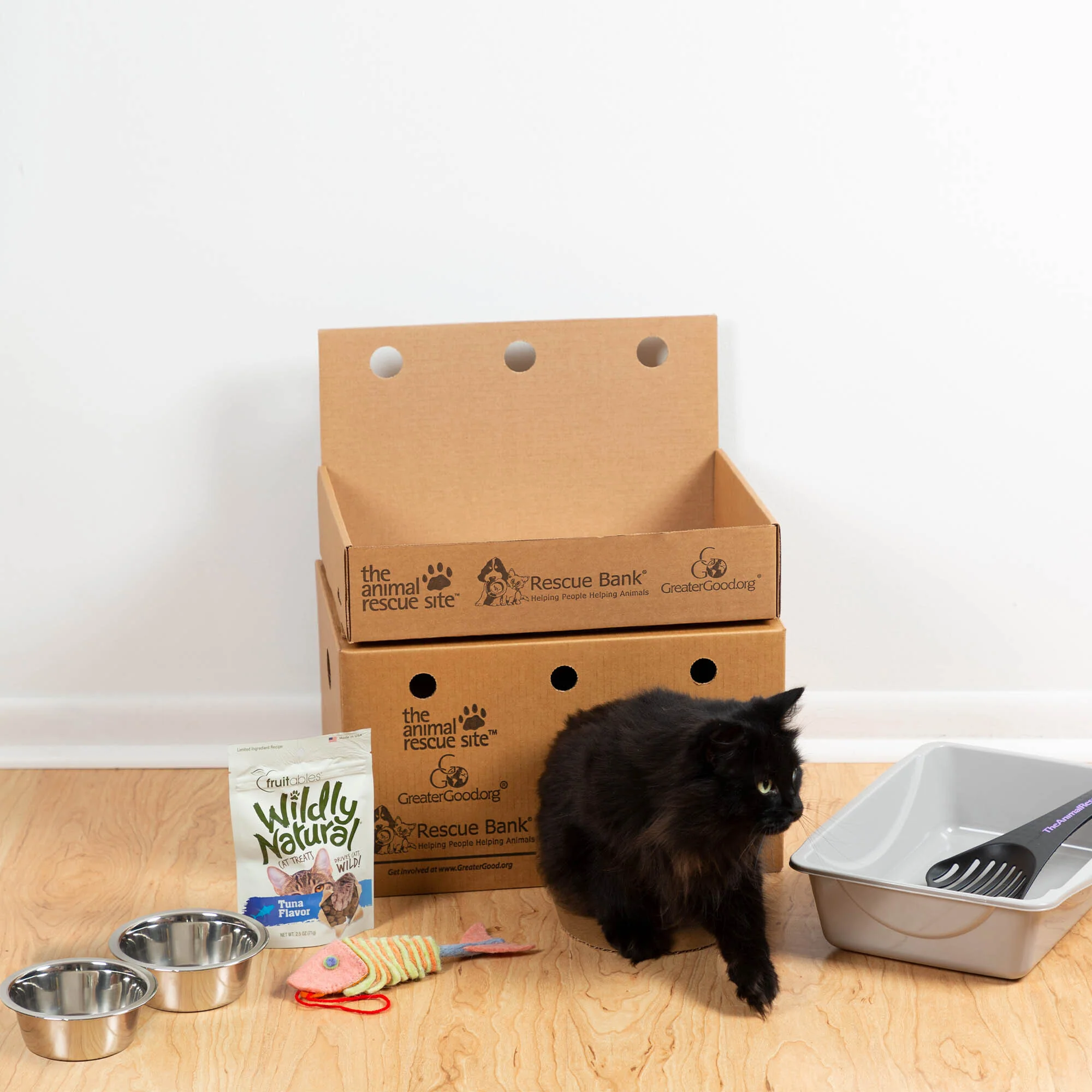 Adoption Kits for Pets To Have a Better Life - Image 8