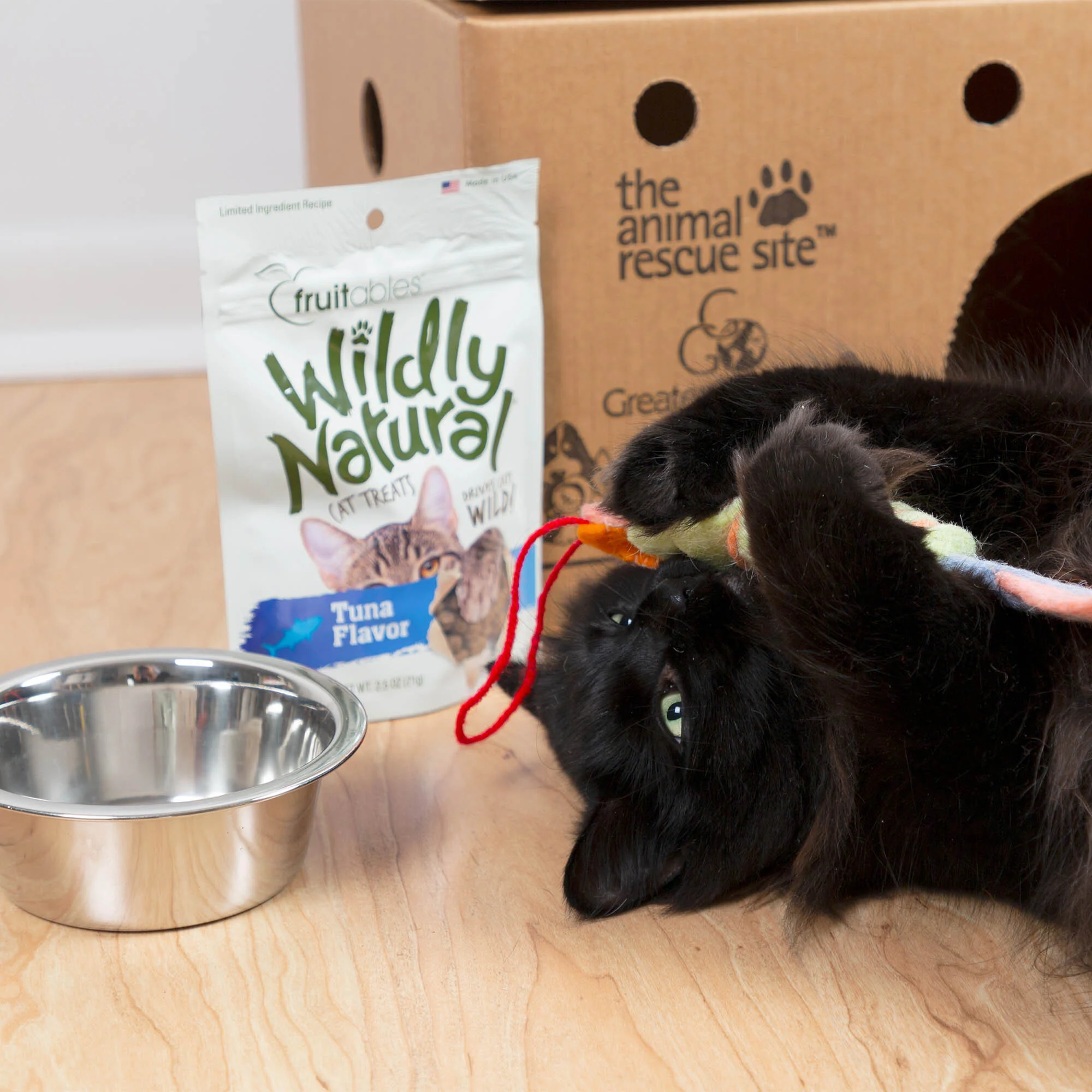 Adoption Kits for Pets To Have a Better Life - Image 9
