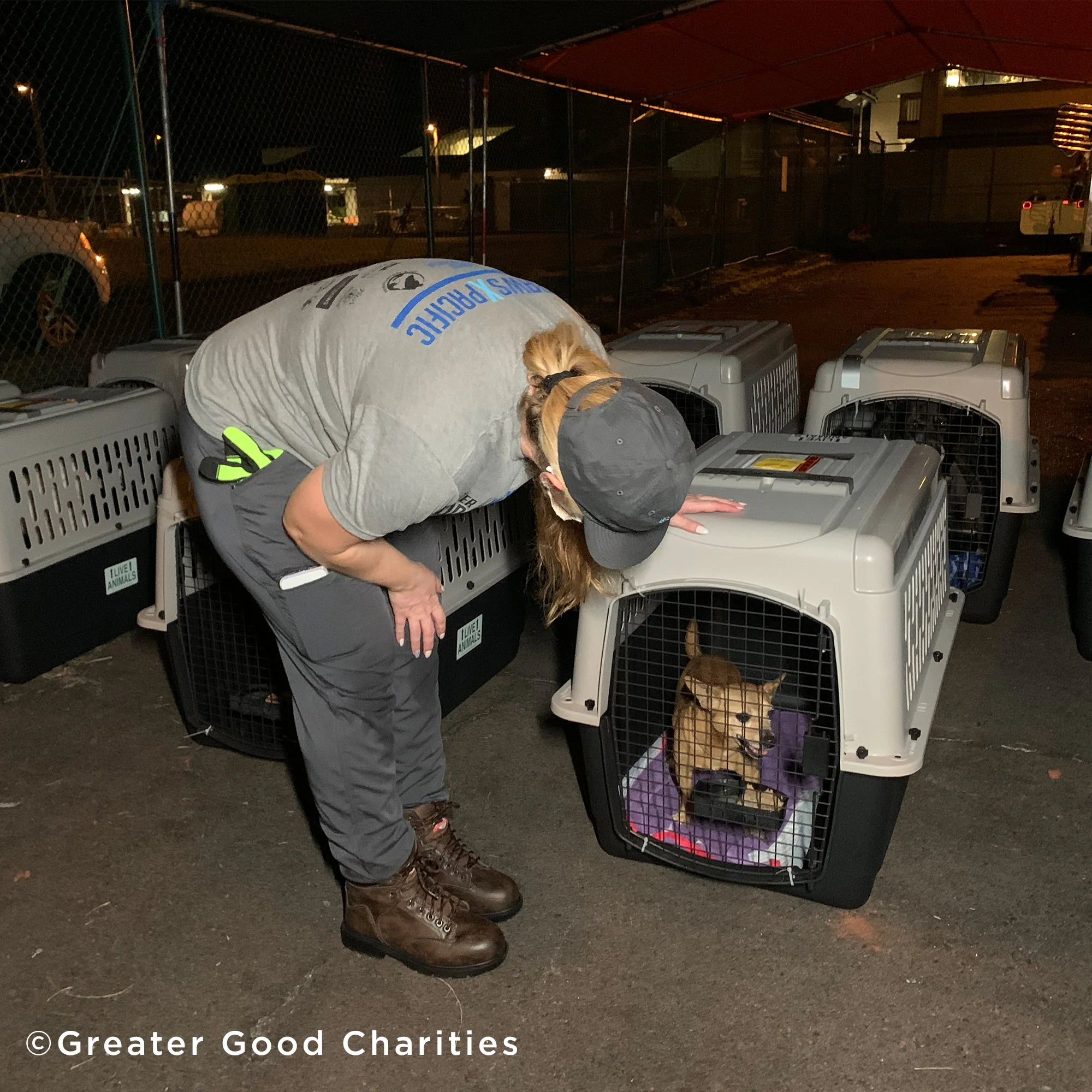 Fund Crates and More for Flights to Freedom - Image 3