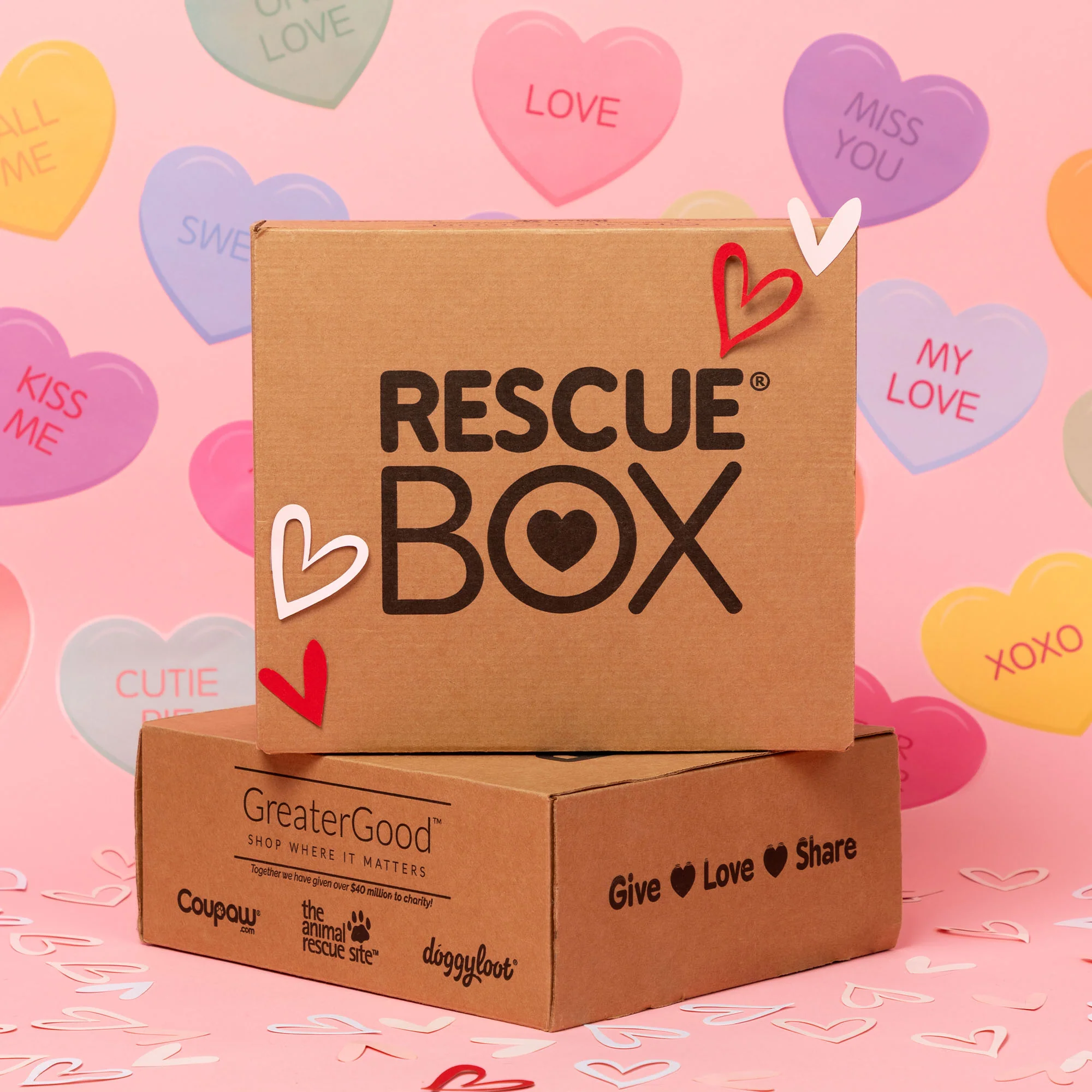 RescueBox® - Spoil Your Pet, Help Animals In Need - Image 11