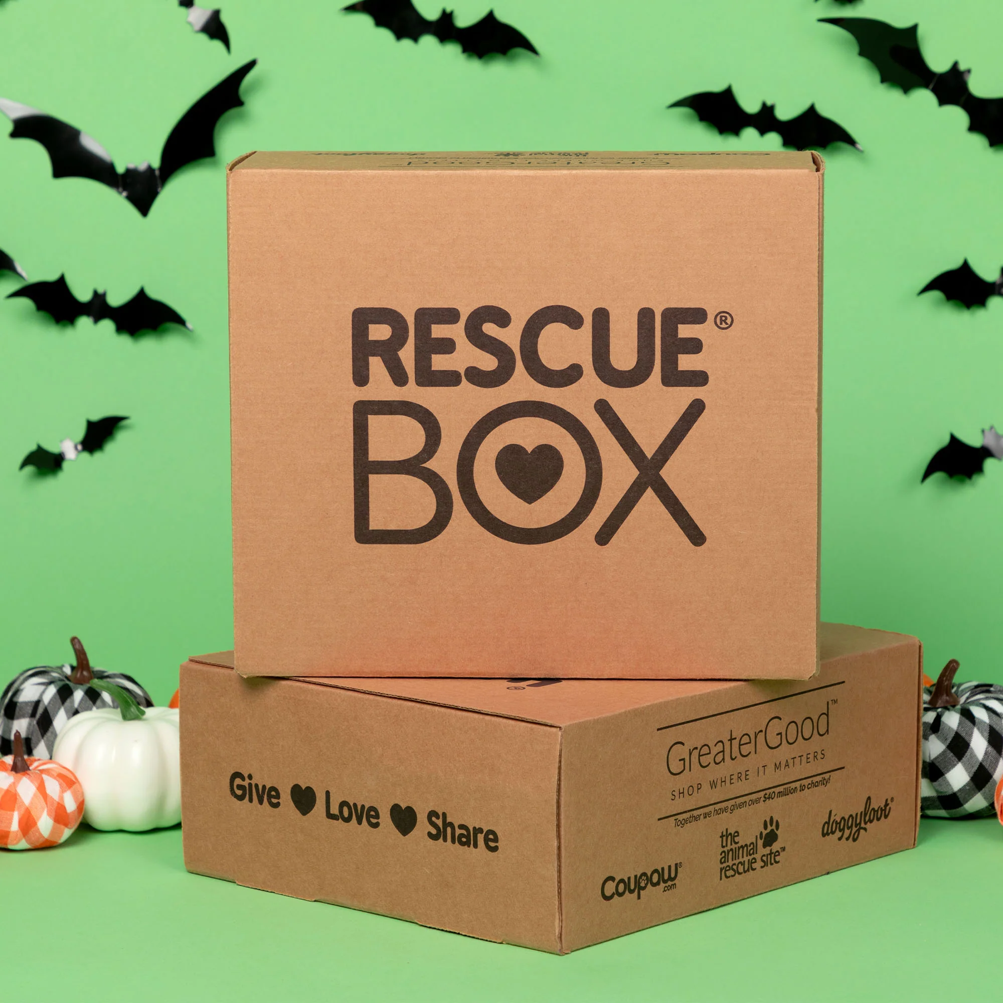 RescueBox® - Spoil Your Pet, Help Animals In Need - Image 17