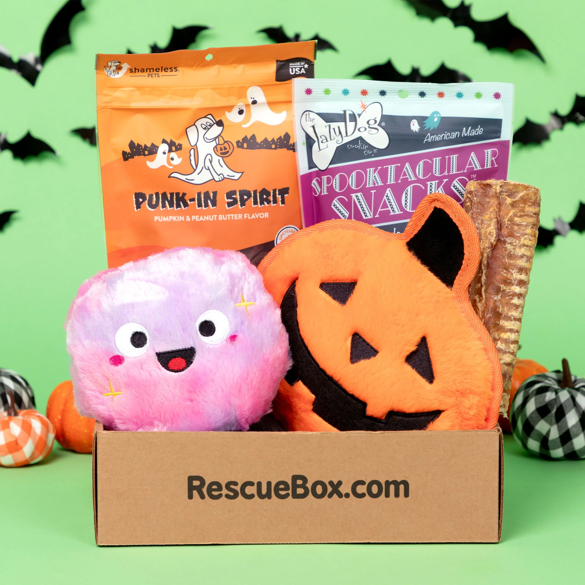 RescueBox® - Spoil Your Pet, Help Animals In Need - Image 19