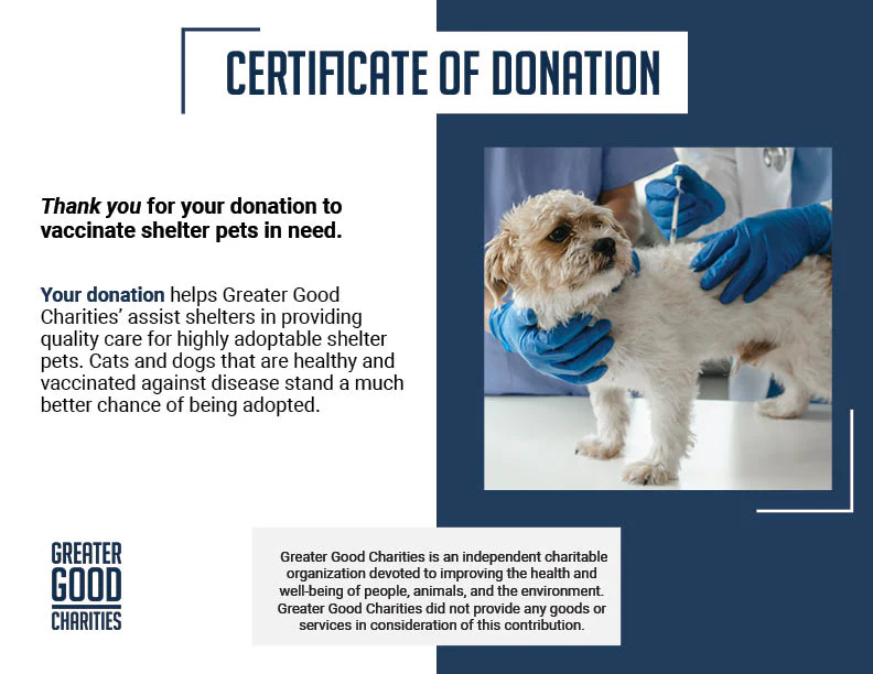 Protect Shelter Pets from Highly Contagious and Deadly Diseases - Image 9