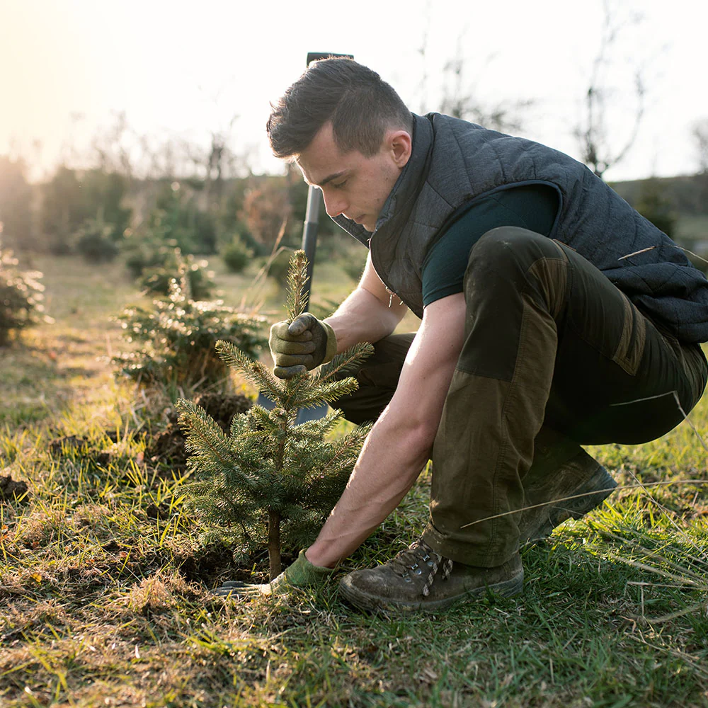 Give the Earth a Gift: Plant a Tree - Image 3