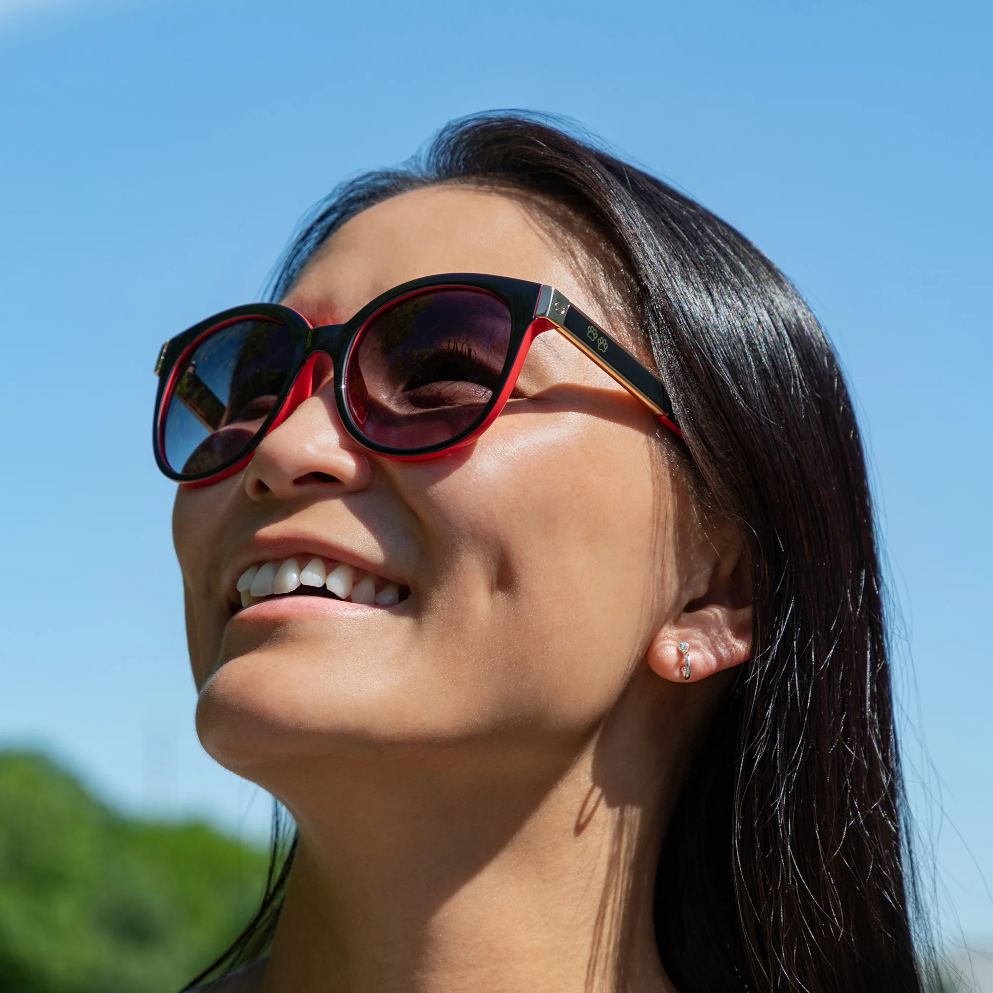 Walking Paws Sunglasses - Image 19