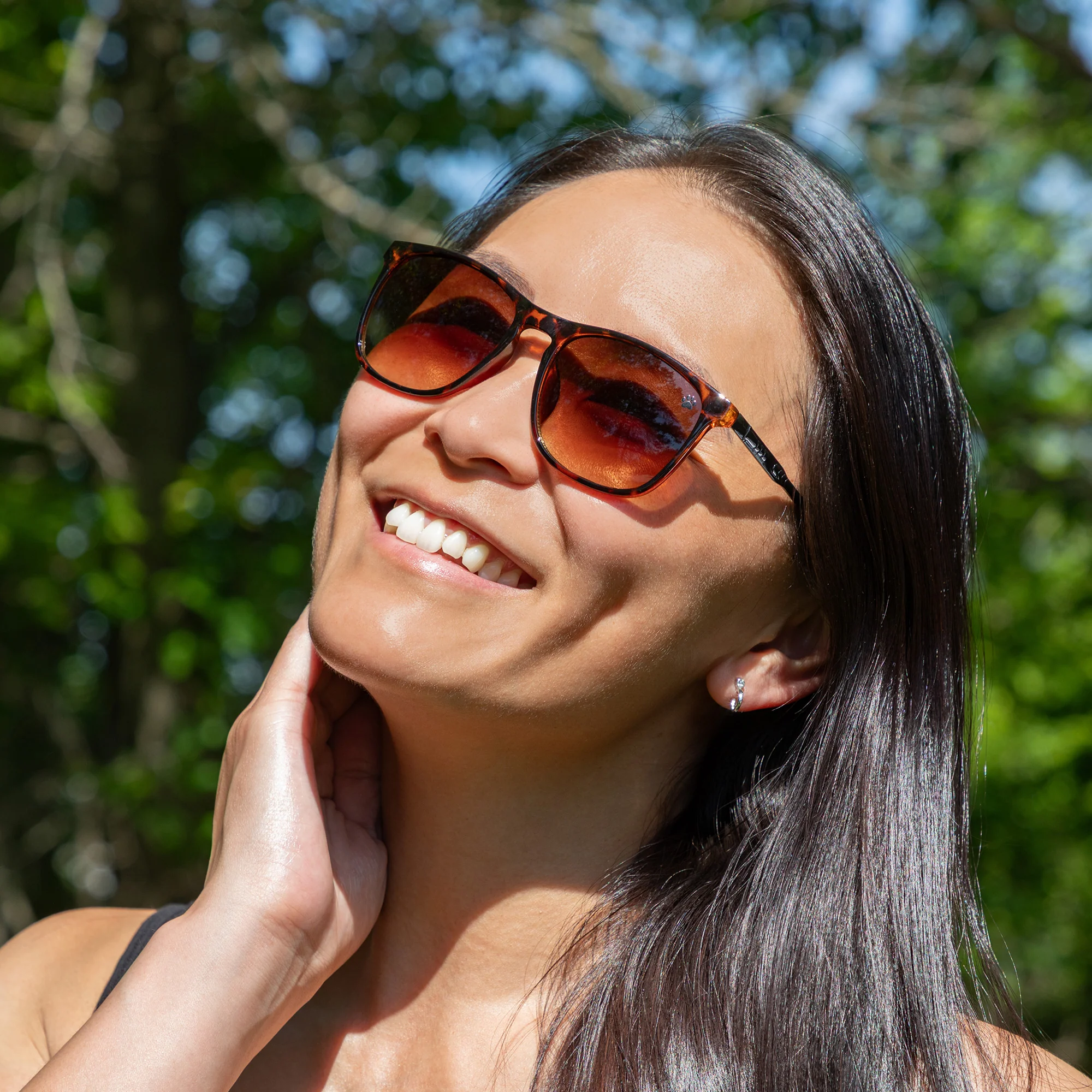 Walking Paws Sunglasses - Image 25