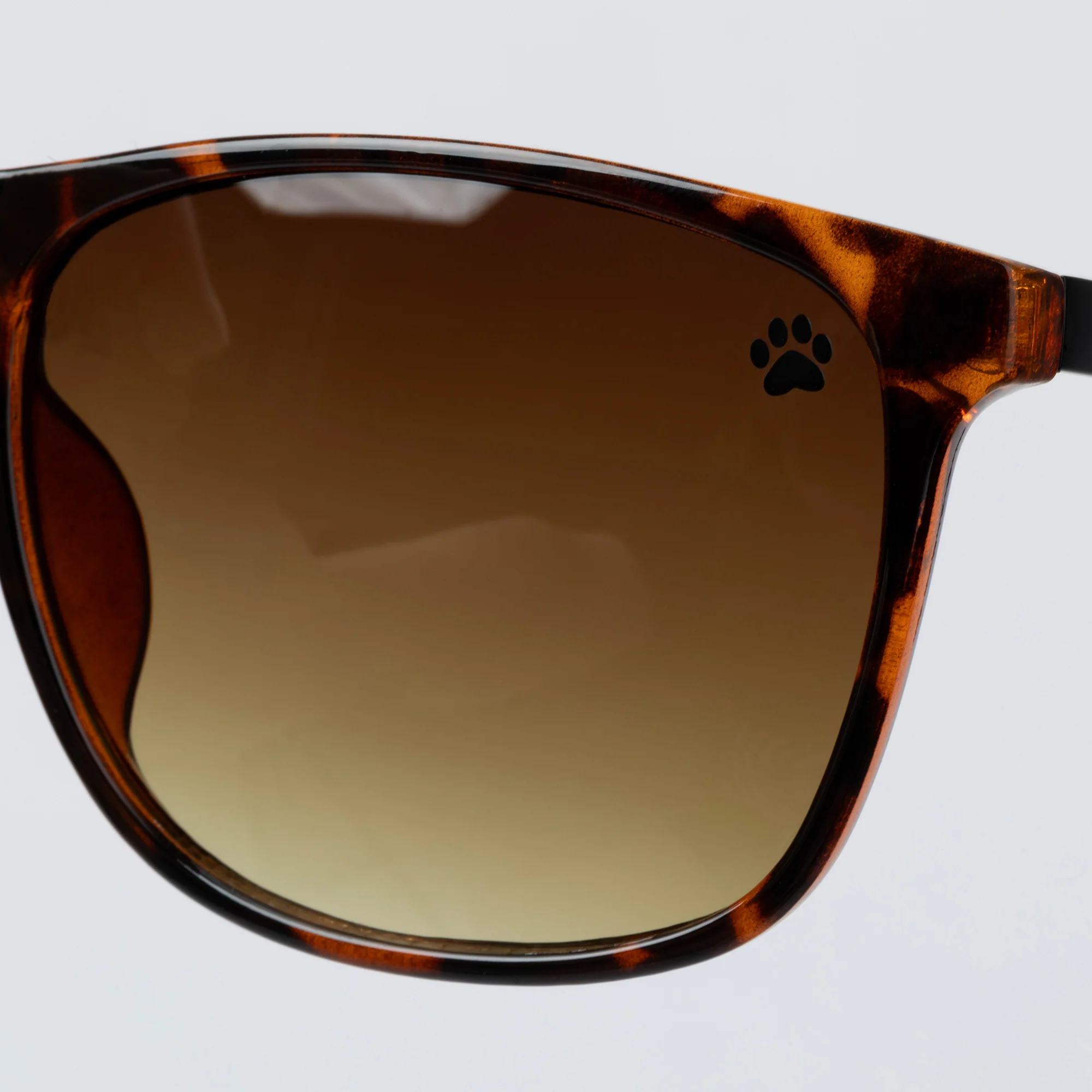 Walking Paws Sunglasses - Image 26