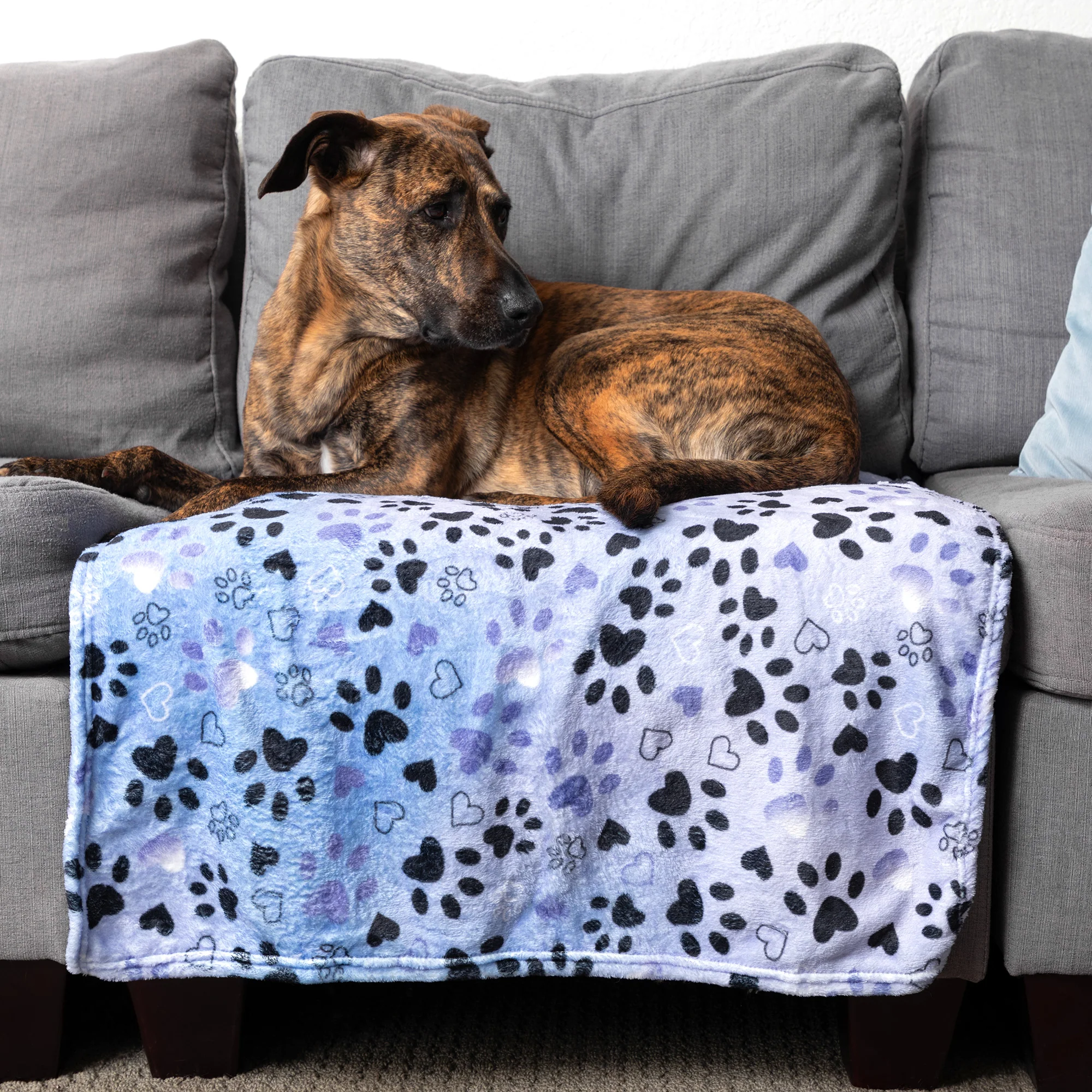 Soft & Cozy Furry Friends Pet Blanket - Image 10