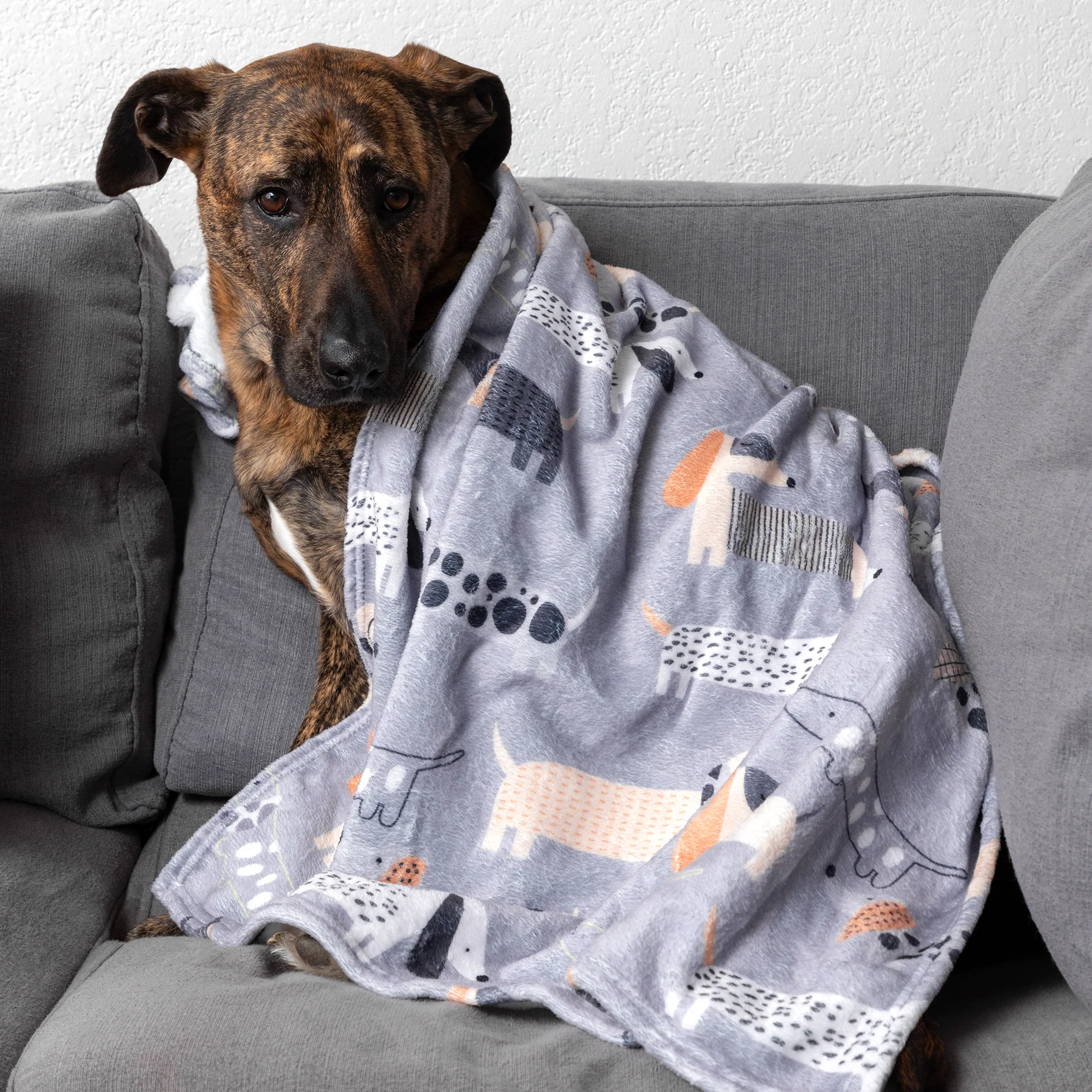 Soft & Cozy Furry Friends Pet Blanket - Image 2