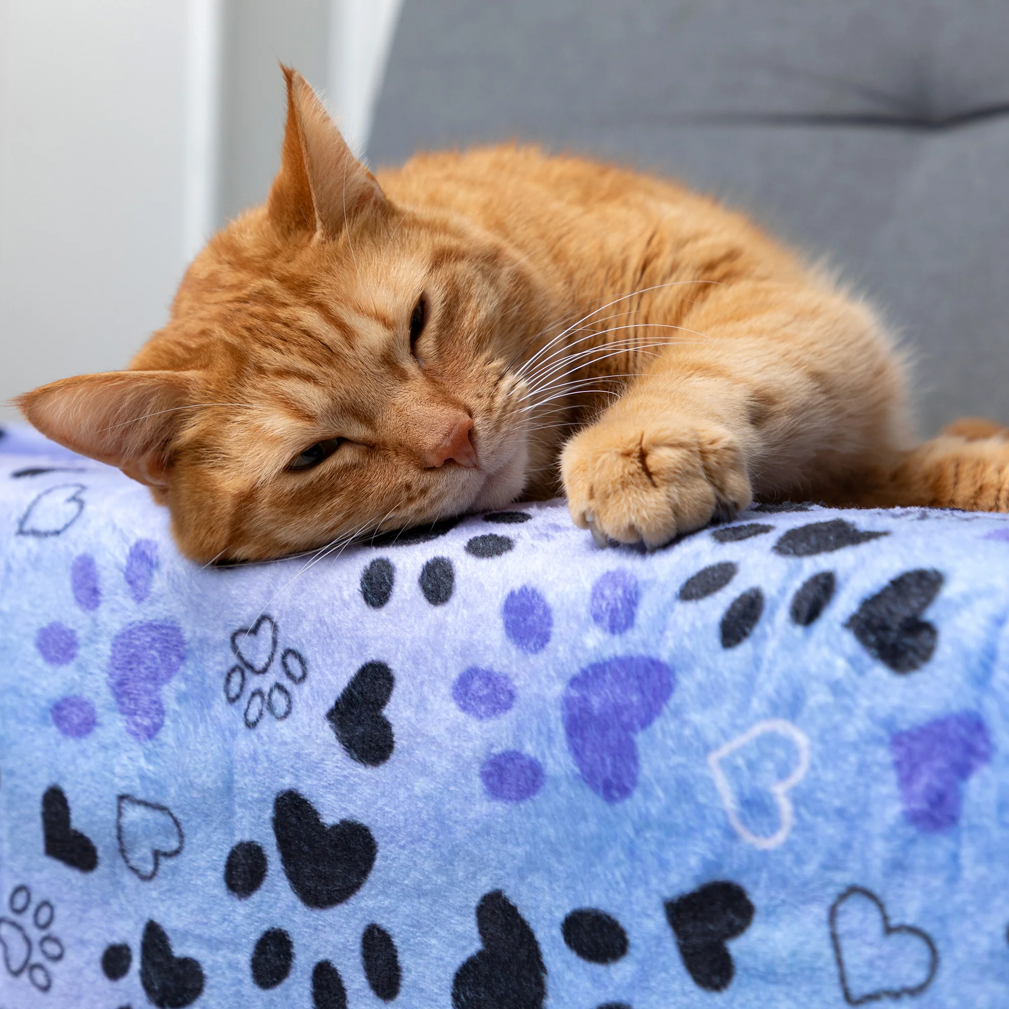 Soft & Cozy Furry Friends Pet Blanket - Image 9