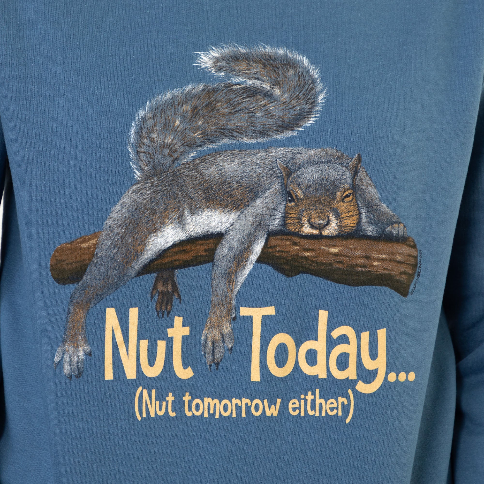 Nut Today Sweatshirt - Image 2