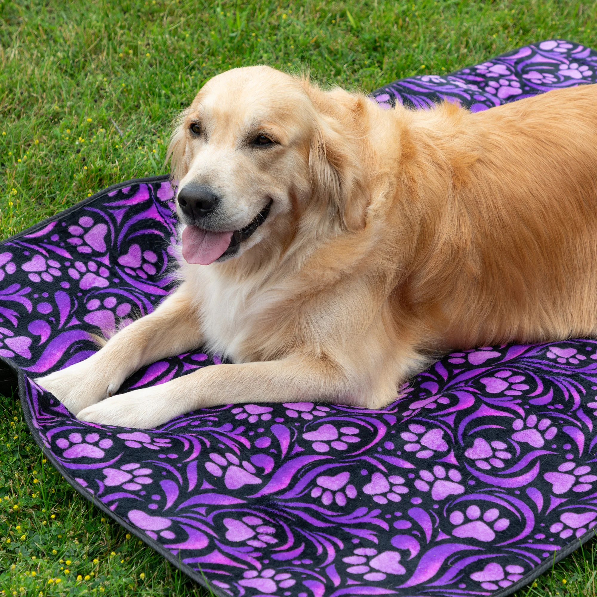 Paws Outdoor Blanket with Waterproof Backing & Handle - Image 19