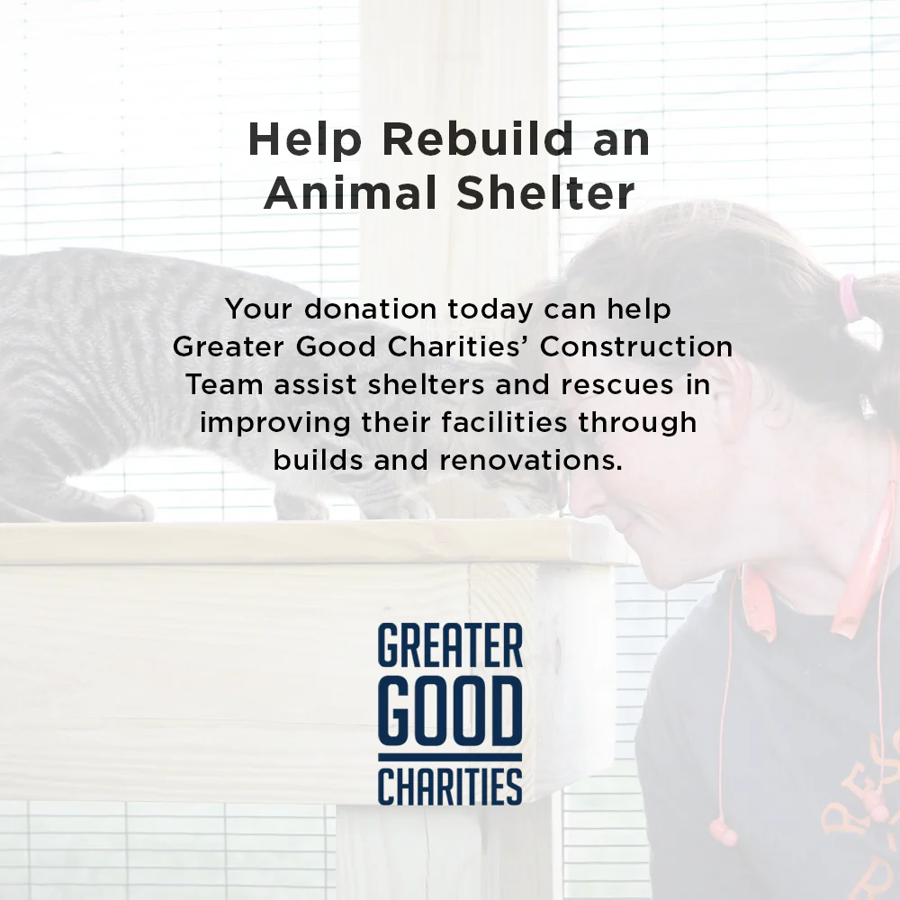 Help Rebuild an Animal Shelter to Enrich Their Residents' Lives - Image 12