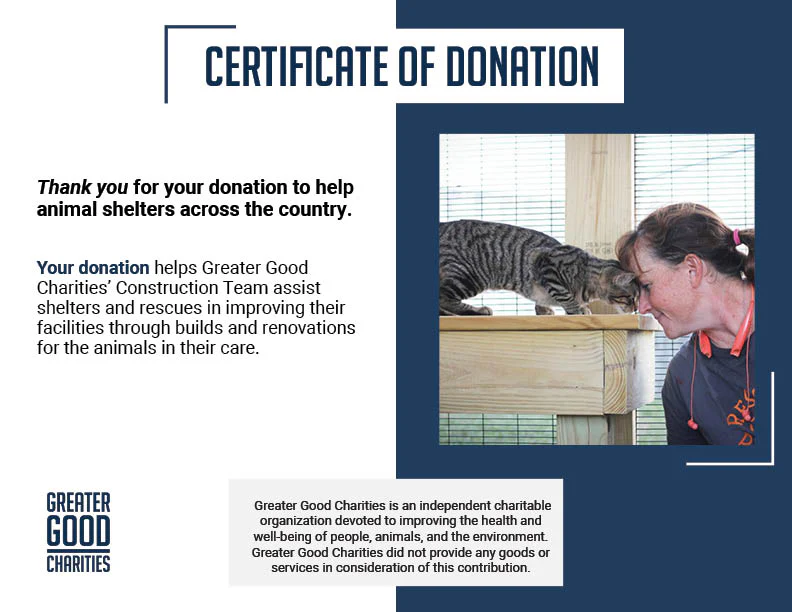 Help Rebuild an Animal Shelter to Enrich Their Residents' Lives - Image 13
