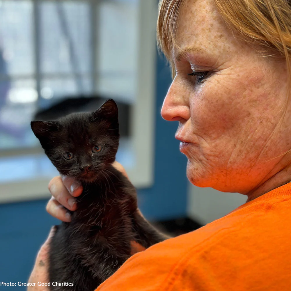 Help Rebuild an Animal Shelter to Enrich Their Residents' Lives - Image 6