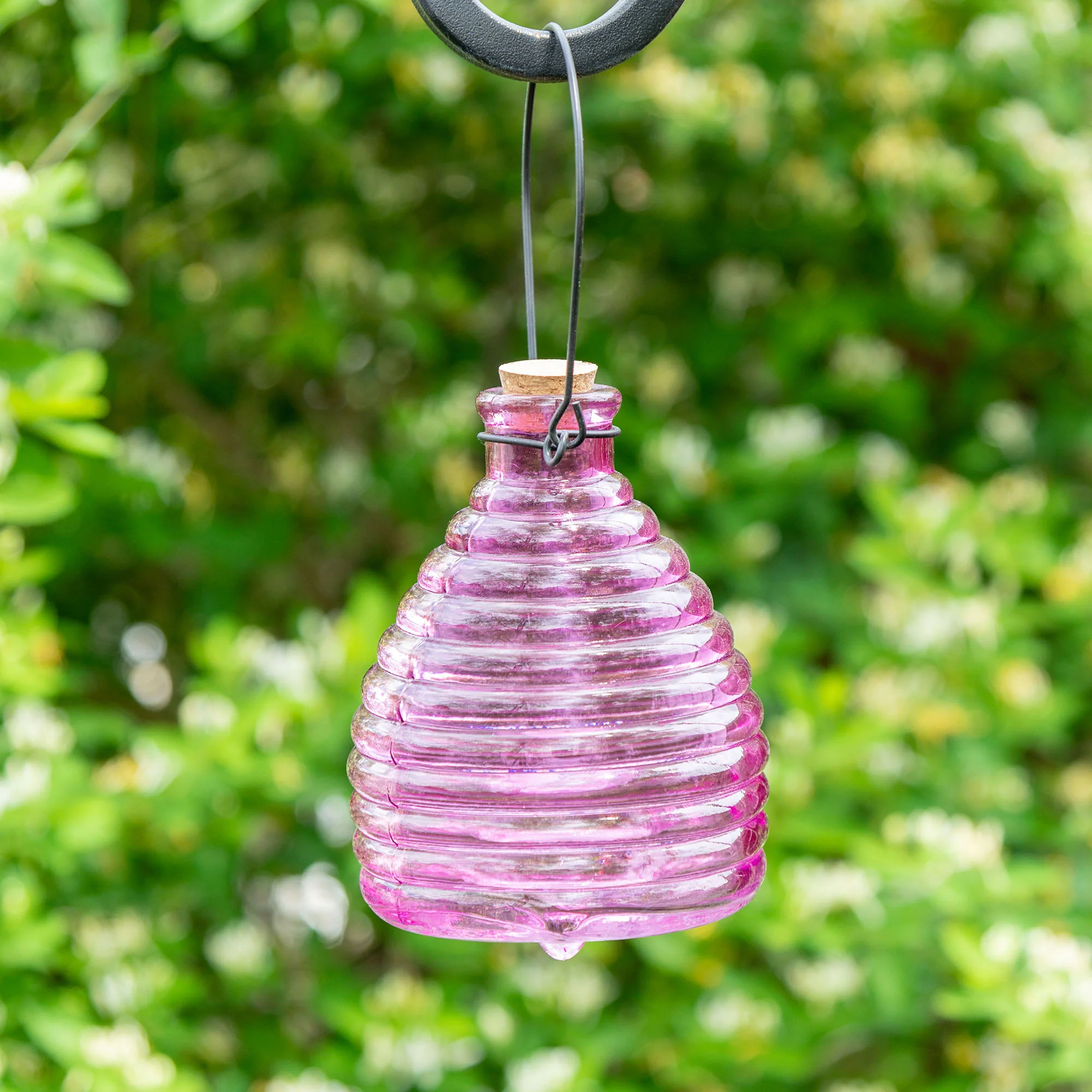 Glass Wasp Trap - Image 3