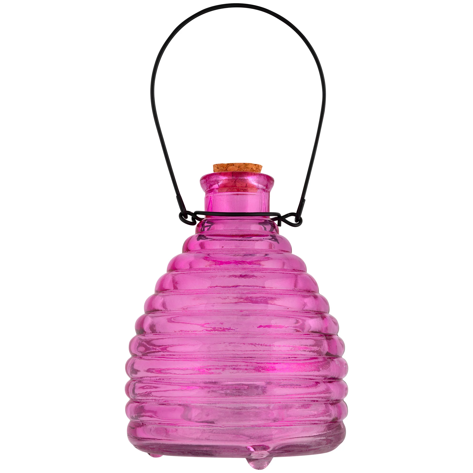 Glass Wasp Trap - Image 4