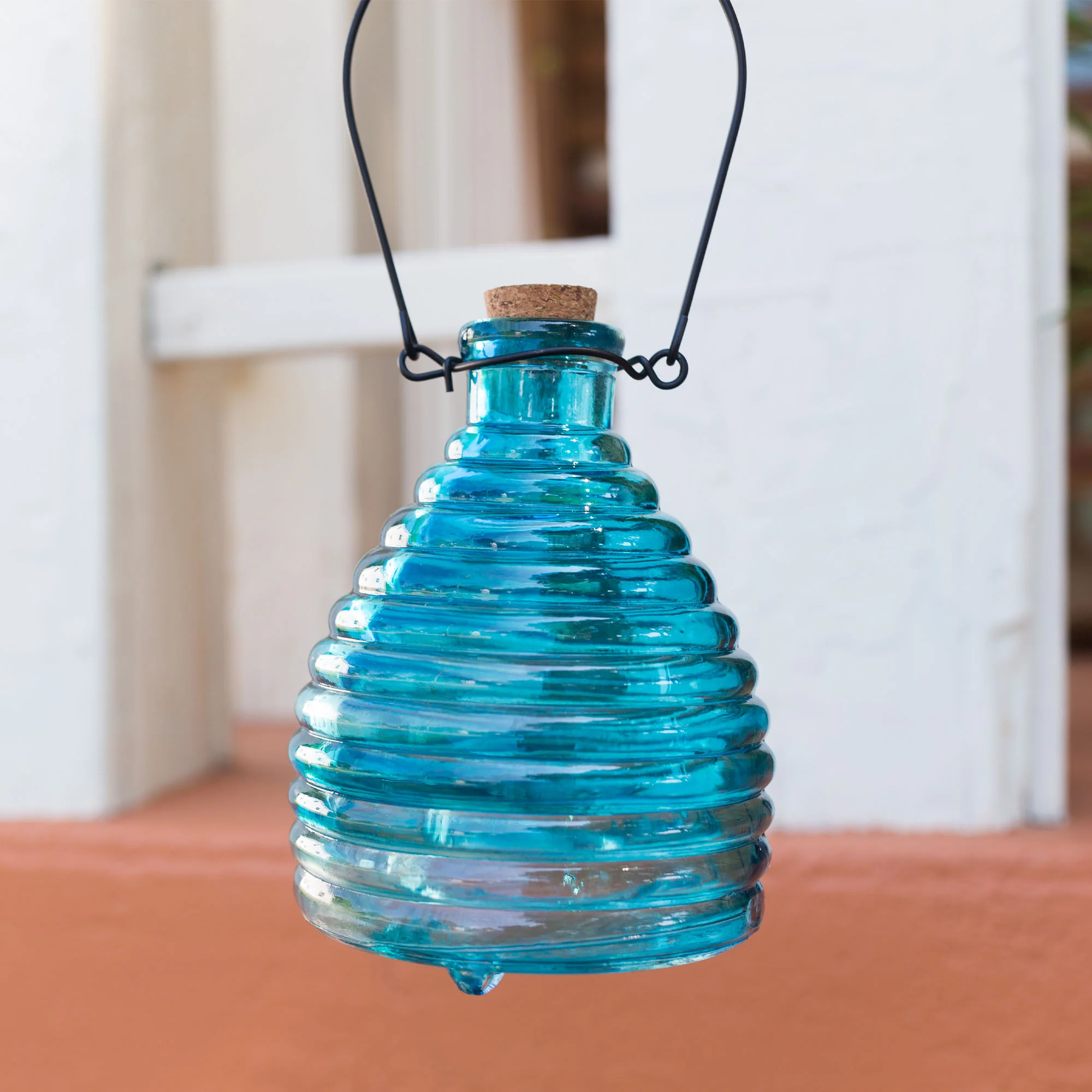 Glass Wasp Trap - Image 8