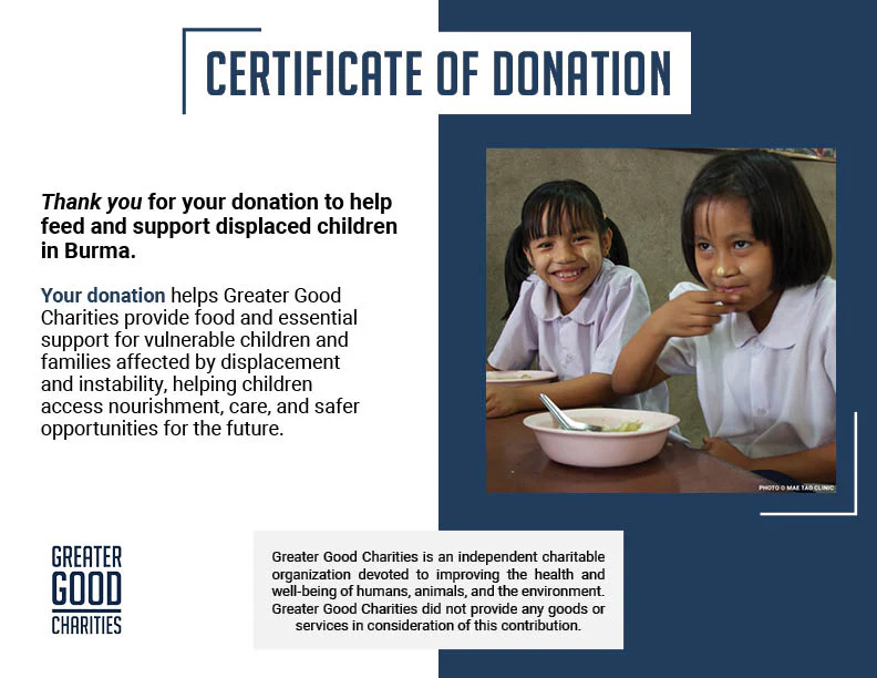 Help Educate and Feed Vulnerable Burmese Children - Image 12