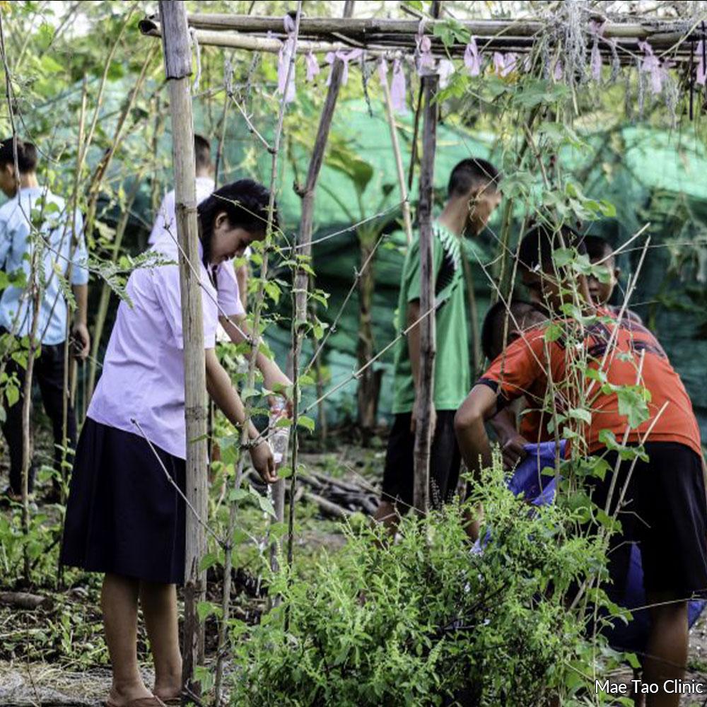 Help Educate and Feed Vulnerable Burmese Children - Image 4