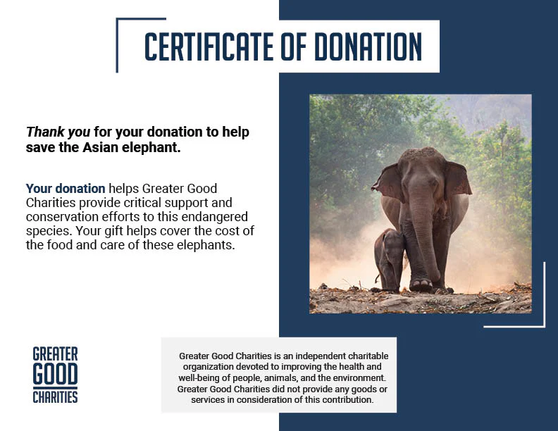 Help Save the Asian Elephant - Image 7