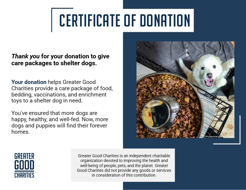 Care Packages for Shelter Dogs - Image 7