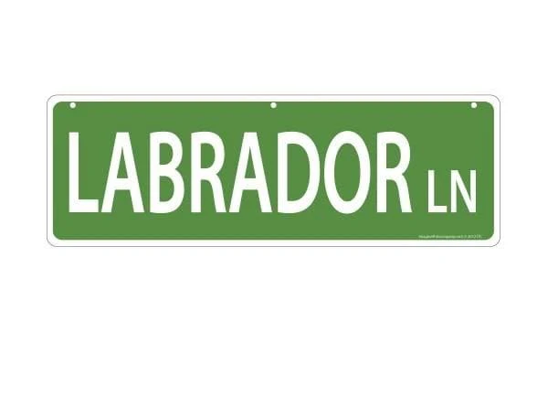 Imagine This Pet-Themed Street Signs - Image 2
