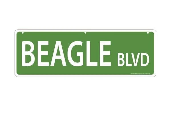 Imagine This Pet-Themed Street Signs - Image 4