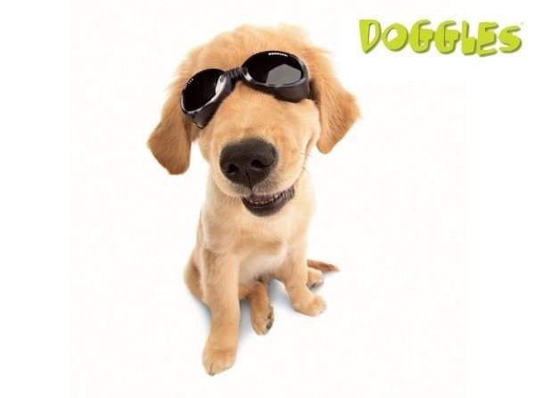 Chrome Doggles ILS Protective Eyewear - Image 2
