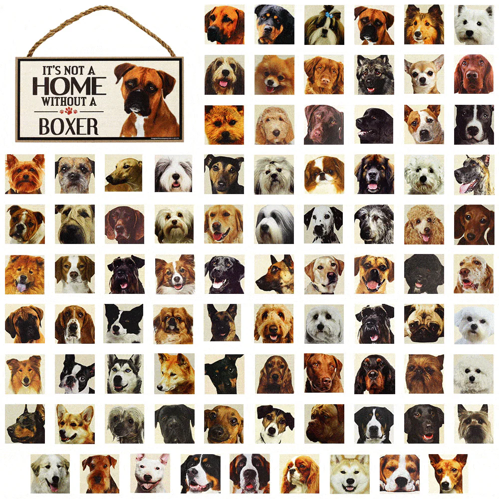 It's Not a Home Without a Dog Sign - Image 15