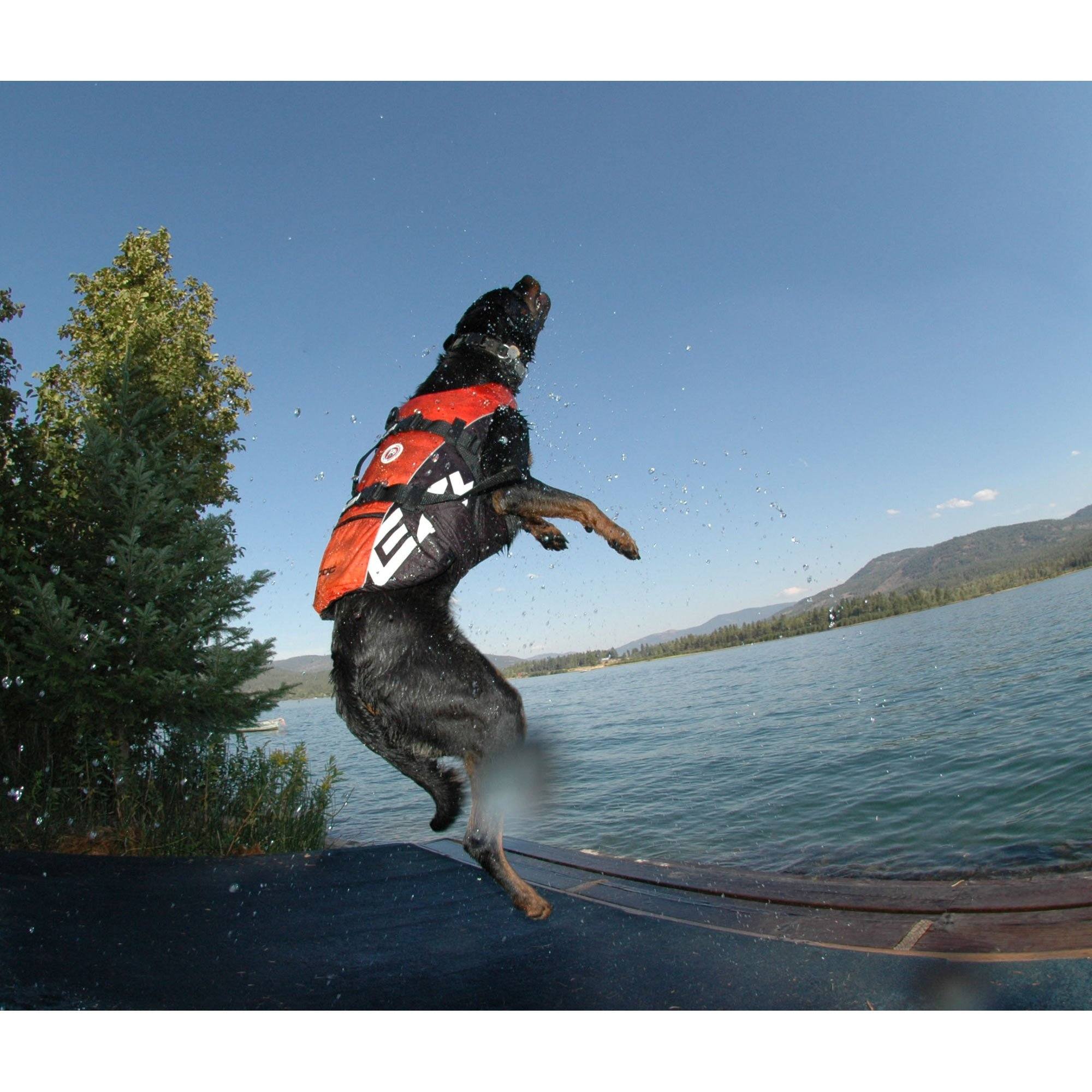 EzyDog&reg; Doggie Floatation Device - Image 4