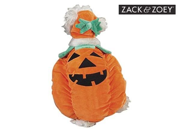 Pumpkin Costume by Zack & Zoey - Image 2