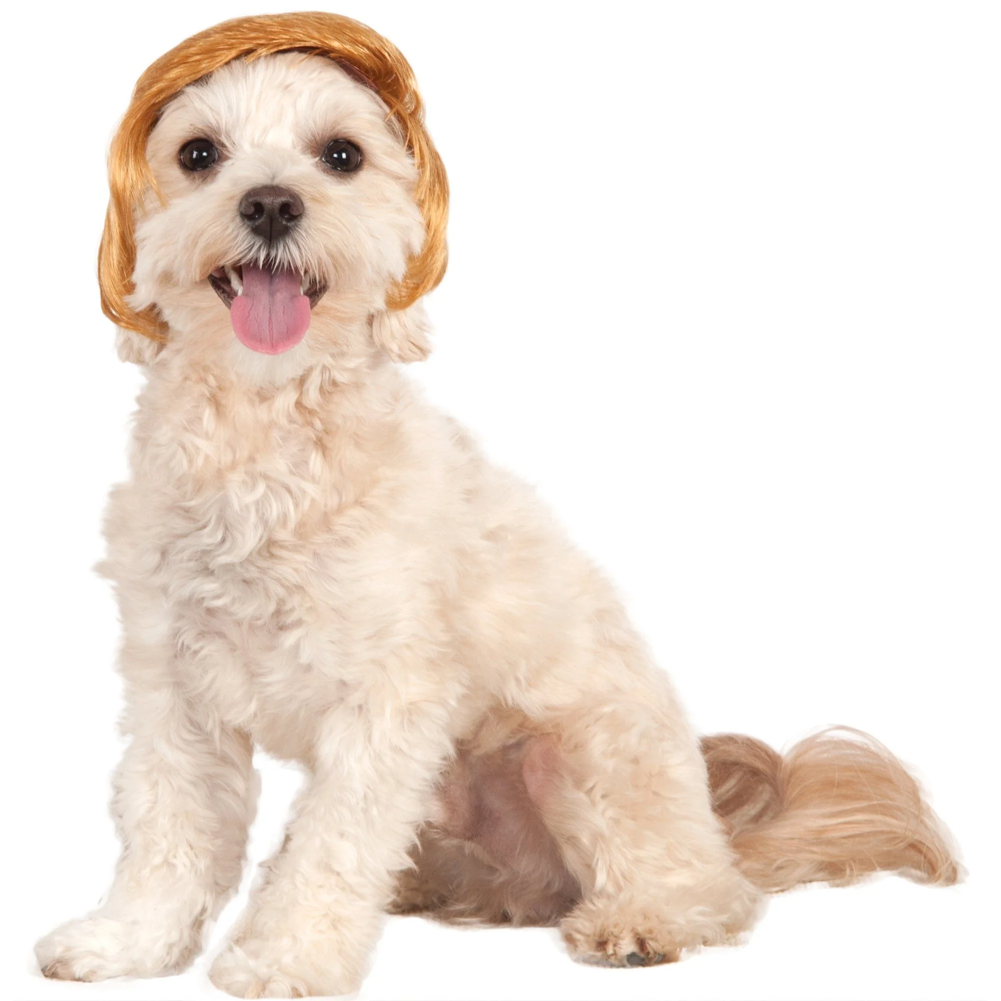 Pawlitical Billionaire Wig Pet Costume - Image 2