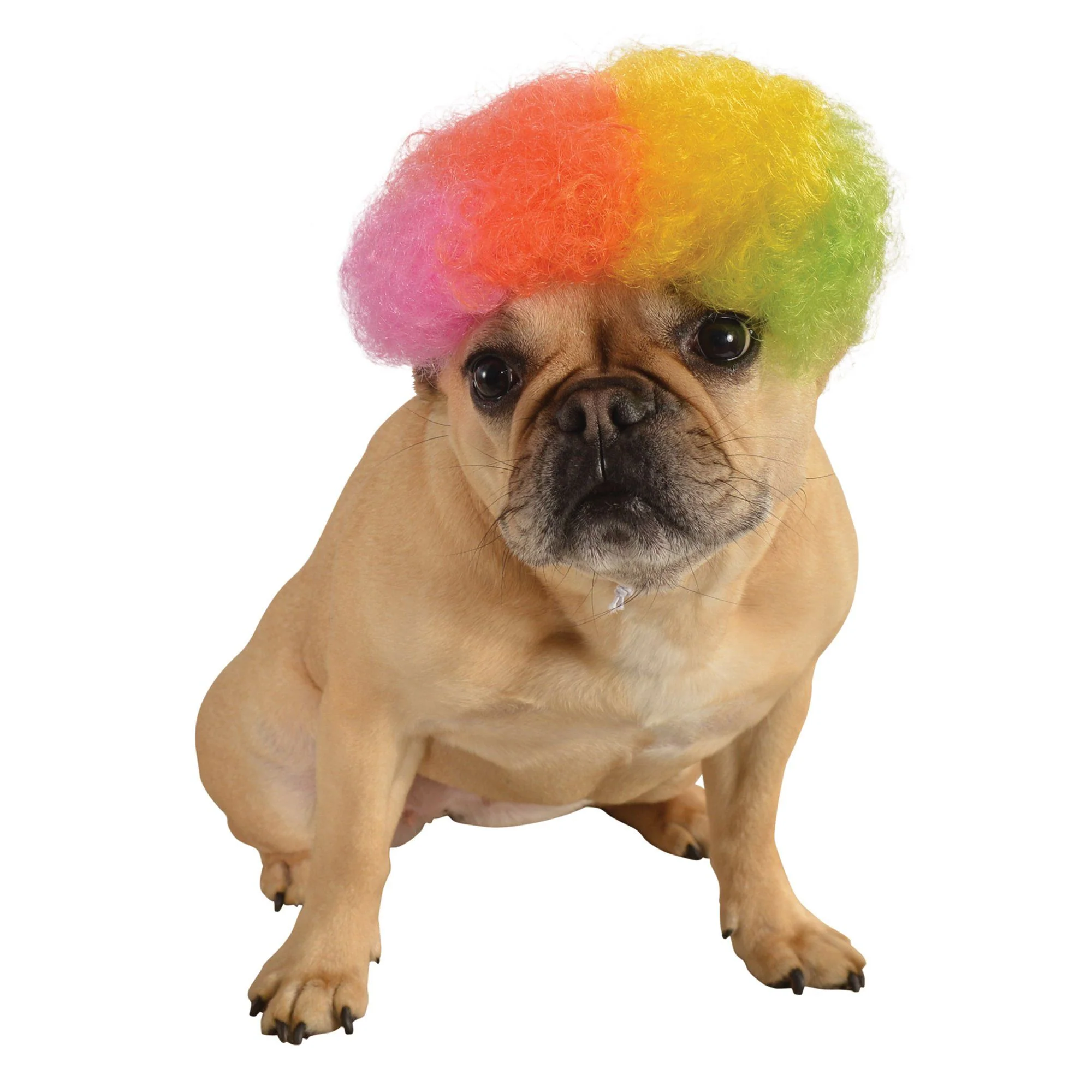 Rainbow Afro Pet Wig - Image 2