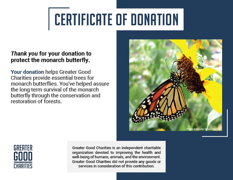 Protect the Monarch Butterfly - Image 8