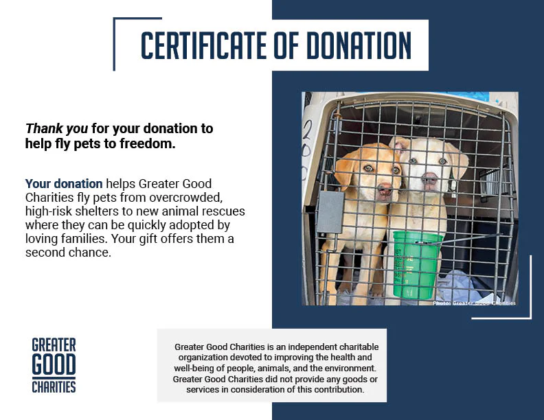 Help Fly Pets to Freedom - Image 21
