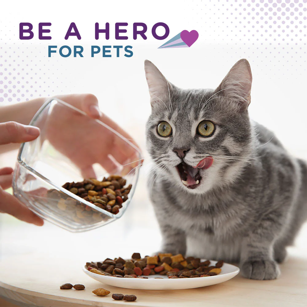 Be a Hero for Pets! - Image 3
