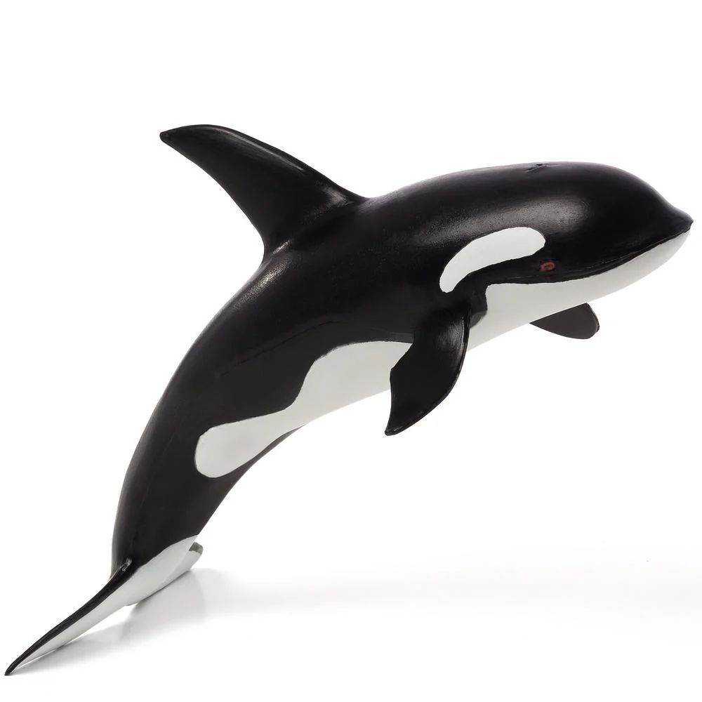 Mojo Fun Orca Deluxe - Image 2