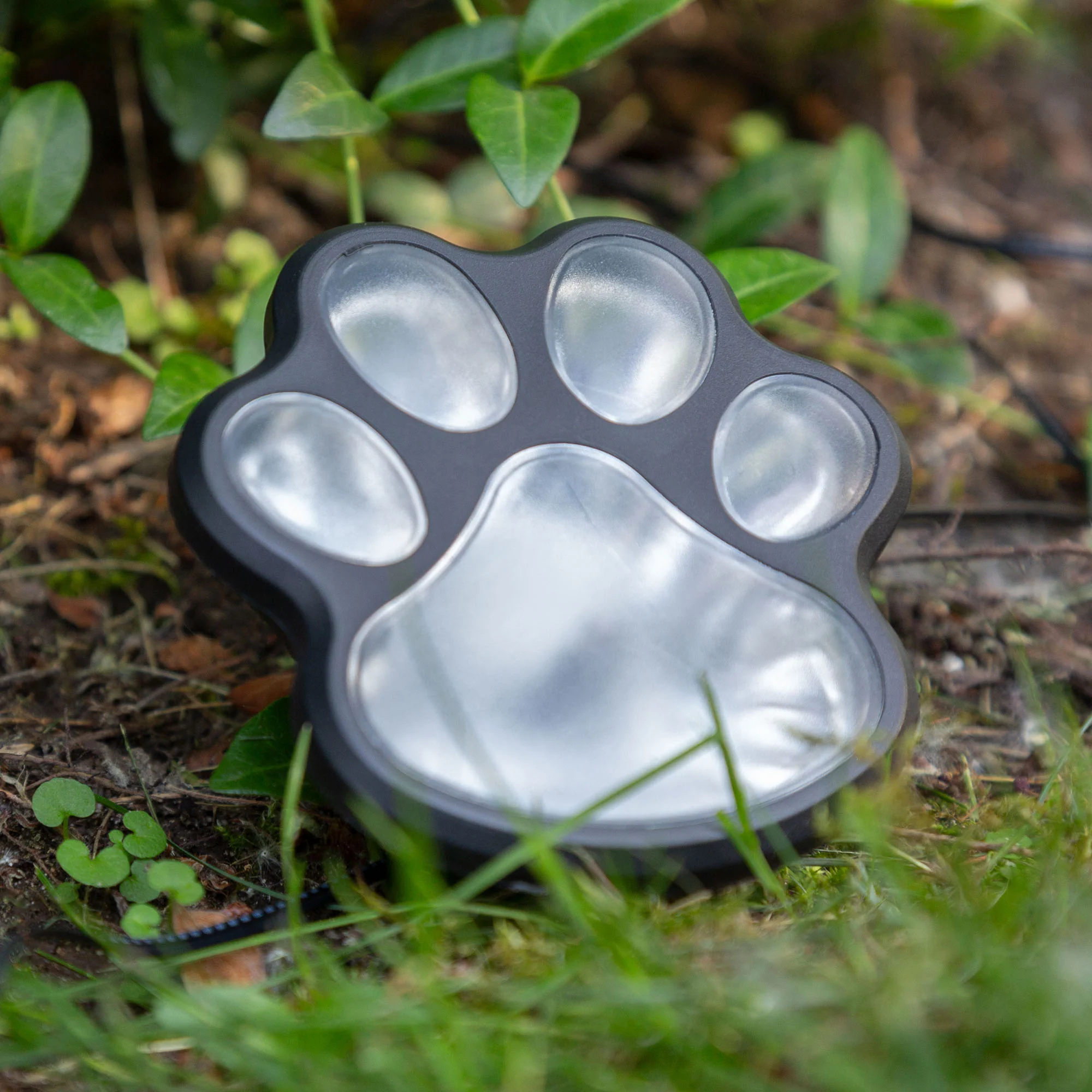 Paw Print Solar Ground Lights - Set of 4 - Image 7