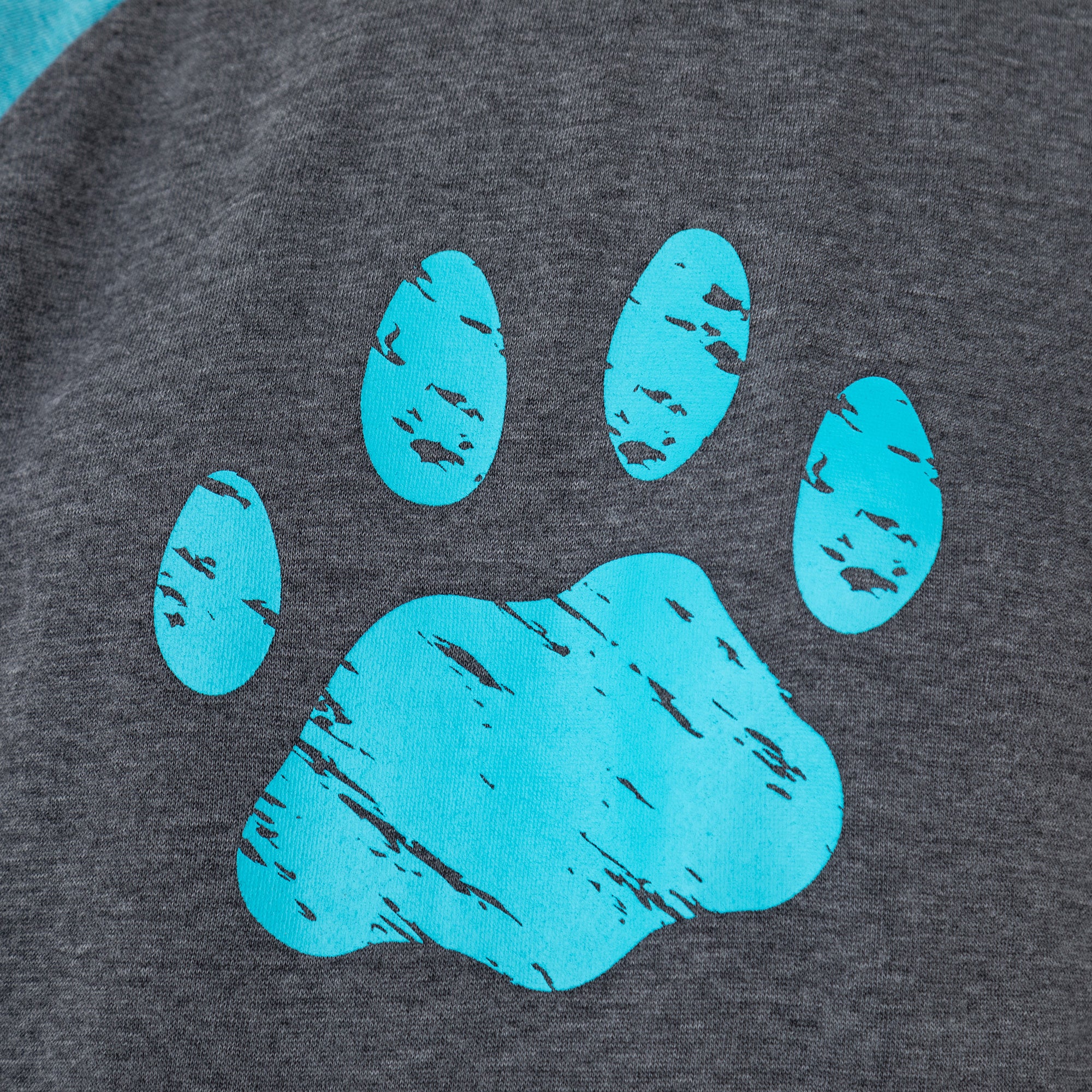 Paw Stripe Burnout Crewneck Sweatshirt - Image 2