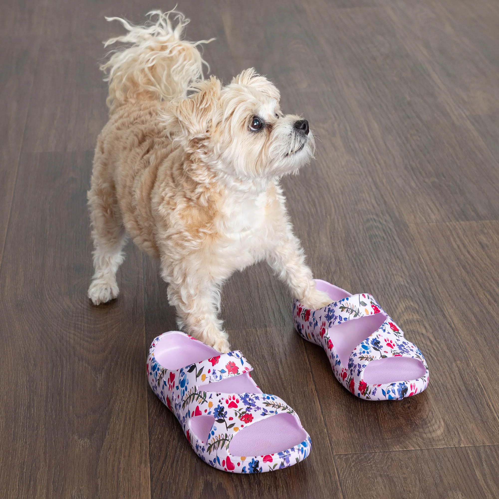 Positively Inspired Slide Sandals - Image 6