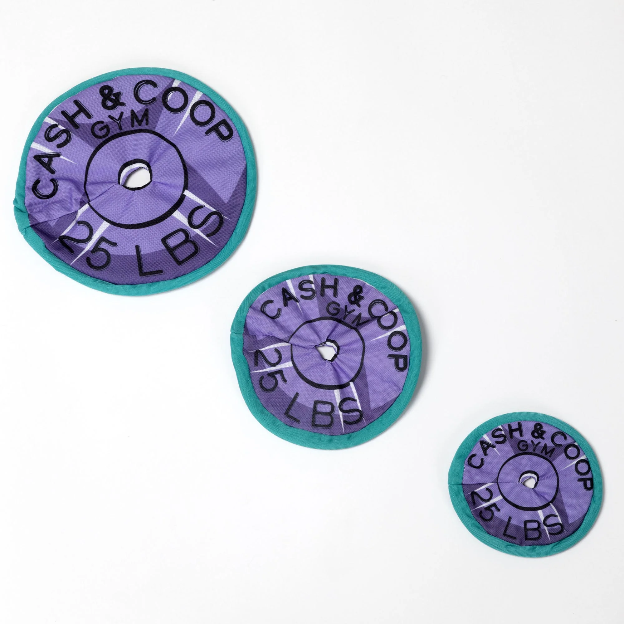 Cash & Coop Weight Plate Frisbee Dog Toy - Image 5