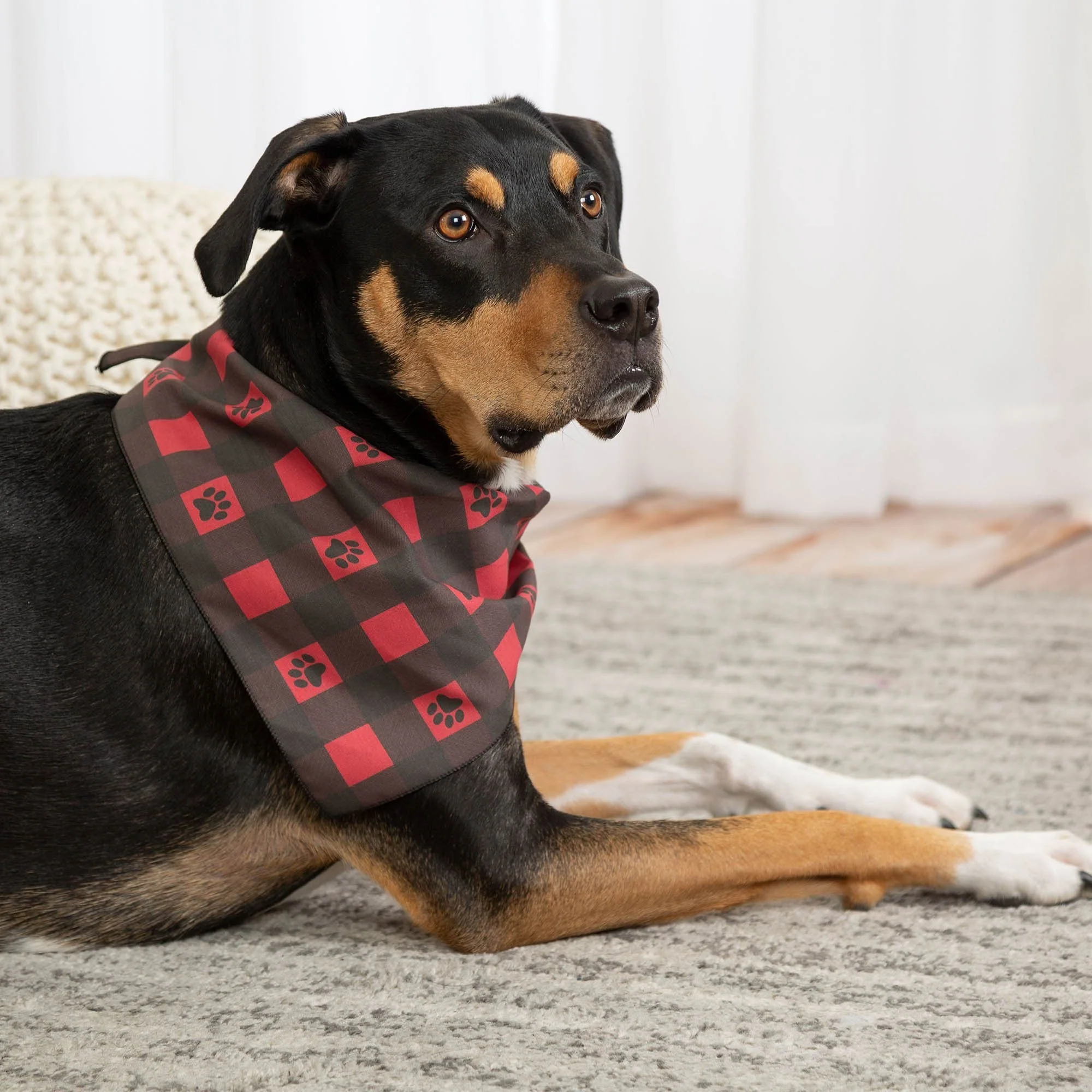 Patterned in Paws Pet Bandana - Image 3