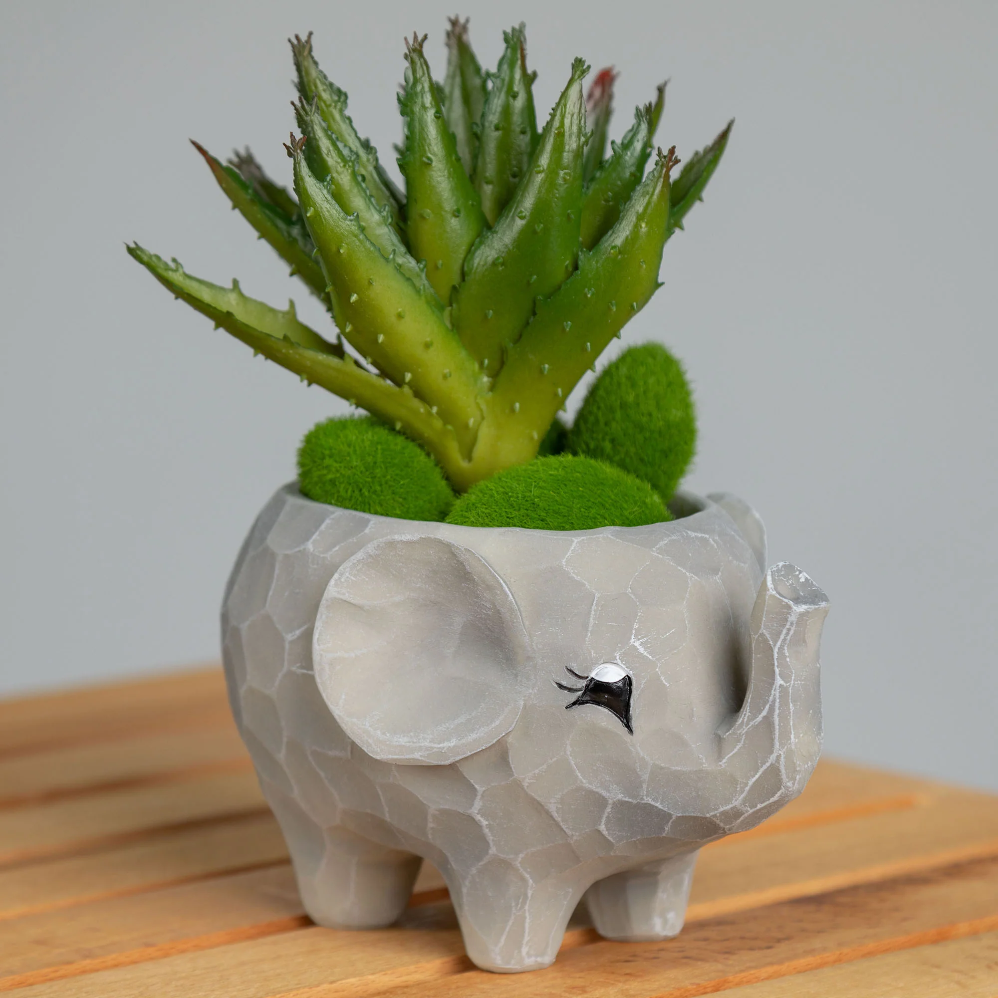 Wild Kingdom Planter - Image 4