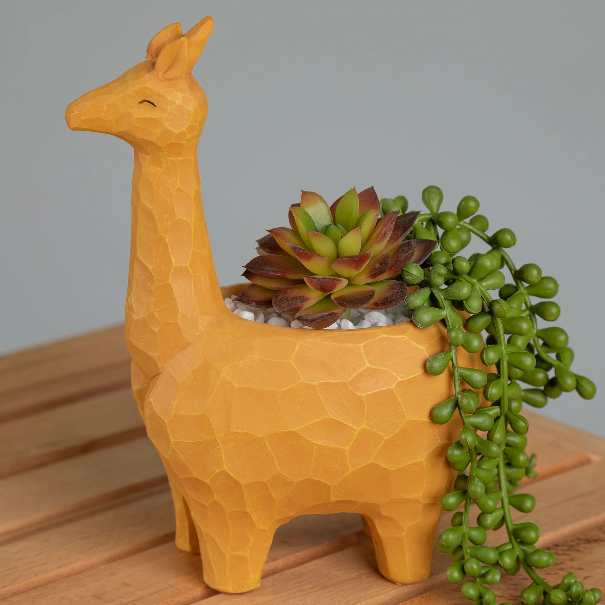 Wild Kingdom Planter - Image 7