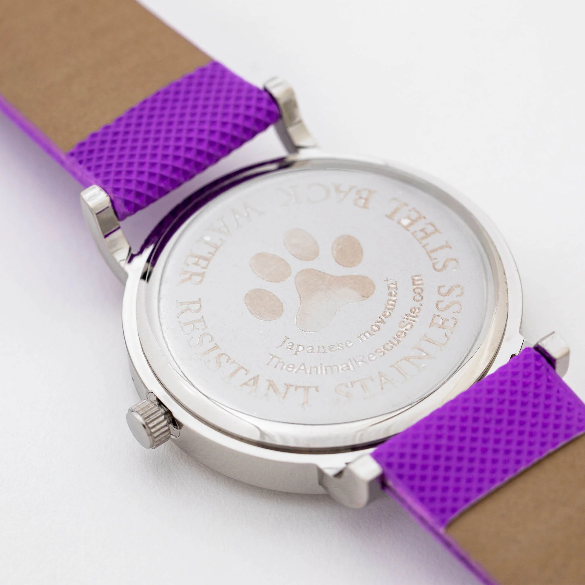 Take Time to Paws Watch! - Image 5