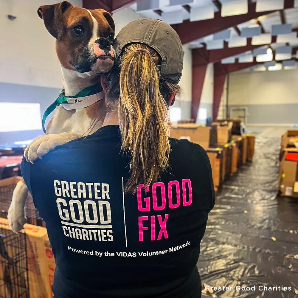 Save Lives and Prevent Suffering With Spay & Neuter - Image 12