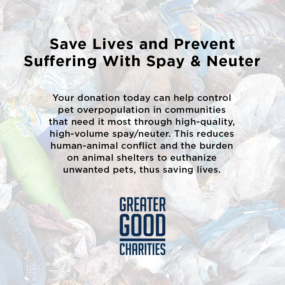 Save Lives and Prevent Suffering With Spay & Neuter - Image 17