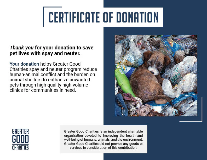 Save Lives and Prevent Suffering With Spay & Neuter - Image 18